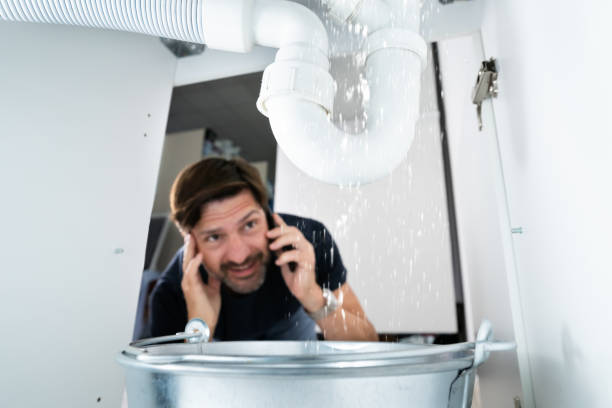 Best Leak Detection Services  in Combee Settlement, FL