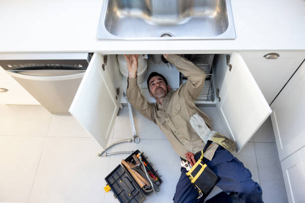 Best Affordable Plumbing Services  in Combee Settlement, FL