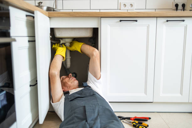 Best Leak Detection Services  in Combee Settlement, FL