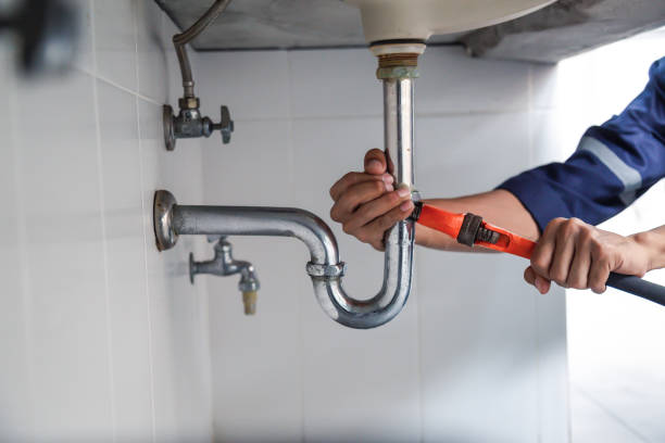 Best Sewer Line Repair  in Combee Settlement, FL
